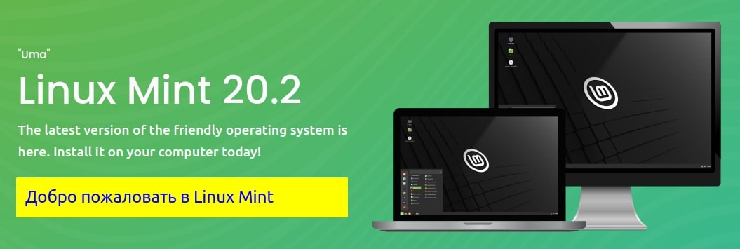 Как установить линукс рядом с линукс минт